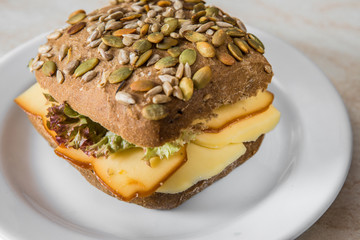 Wall Mural - cheese pumpkin bun with fresh salad