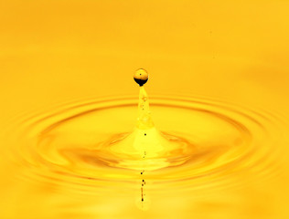 Wall Mural - A drop of golden water. macro