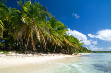 Canvas Print - beach