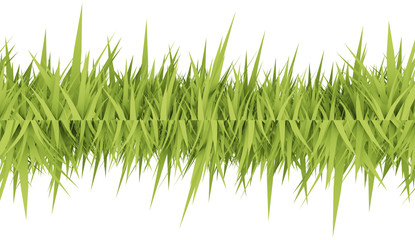 Wall Mural - Green grass concept rendered