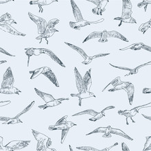 Pattern Of Seagulls