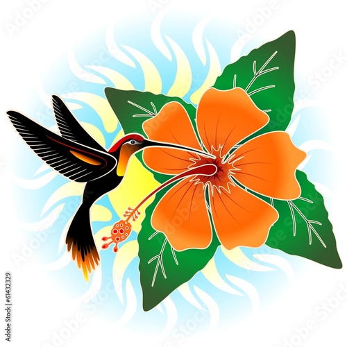 Hummingbird and Orange Hibiscus