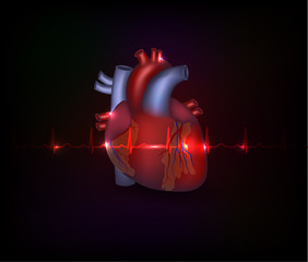 Sticker - Beautiful cardiology heart design and normal cardiogram