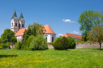 Fototapete - Niederalteich, Kloster, Basilika, Blumenwiese, Klostermauern