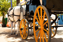 Horse Carriage Waiting For A Ride In A Andalusian Fair.
