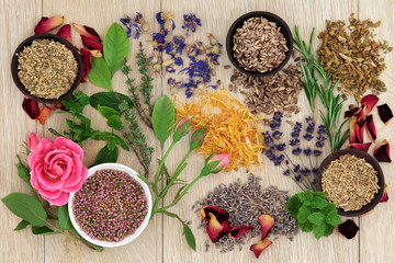 Poster - Natural Herbal Medicine