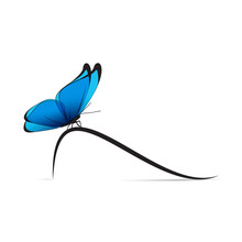 Papillon-courbe À Gauche