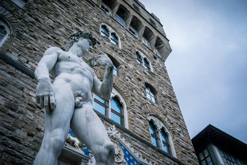 David Statue in Florence