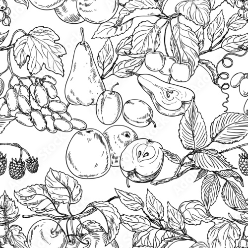 szkic-owocow-delikatnie-narysowane-owoce-na-bialym-tle