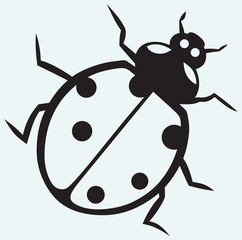Sticker - Ladybug isolated on blue background