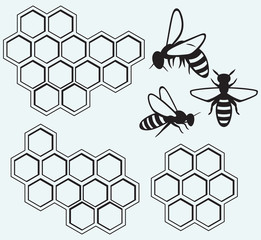 Poster - Bees on honey cells isolated on blue batskground