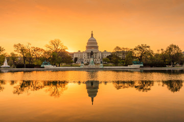 Wall Mural - Capitol building in Washington DC