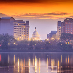 Fototapete - The United States Capitol building in Washington DC