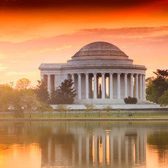 Fototapete - the Jefferson Memorial during the Cherry Blossom Festival in DC
