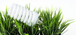 Energy saving  light bulb in green grass