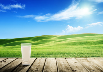 Wall Mural - milk and sunny spring field