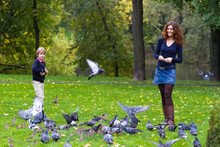 Mother And Son Feeding Pigeons In A Park