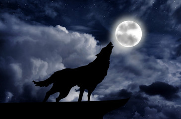 Naklejka na meble Wolf howling at the full moon