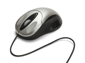 Computer Mouse