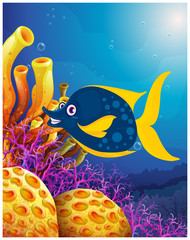 Wall Mural - A big smiling fish near the coral reefs