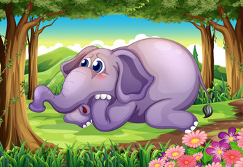 Poster - A sad elephant at the forest