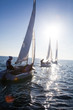 sailing Regatta