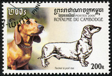 Stamp Printed By Cambodia, Shows Dog