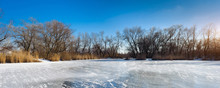 Winter Landscape On The Lake