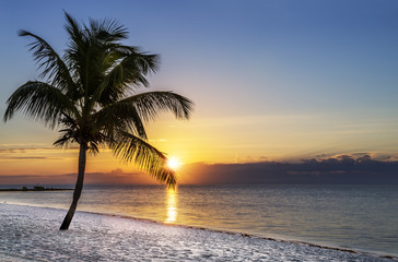 Sunset on the beach