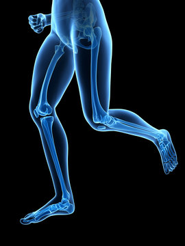 medical 3d illustration - jogging woman - visible leg bones