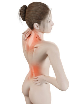 medical 3d illustration - female having backache