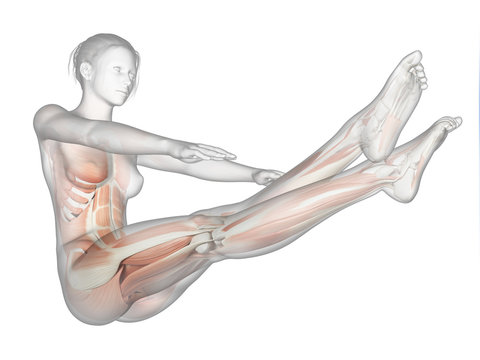medical 3d illustration - woman working out