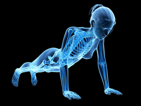 medical 3d illustration - woman doing pushups