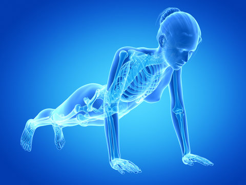 medical 3d illustration - woman doing pushups