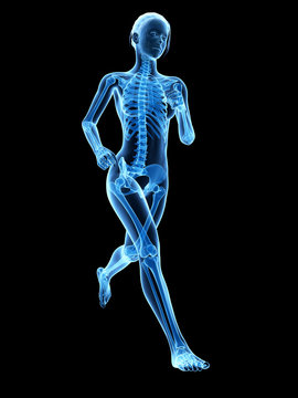 medical 3d illustration - female jogger - visible bones