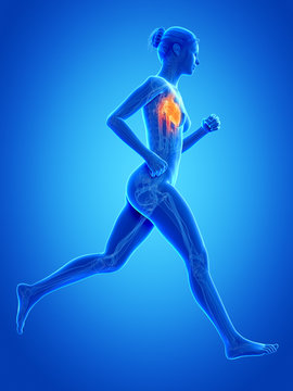 medical 3d illustration - female jogger with visible heart
