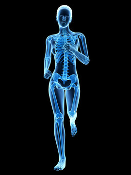 medical 3d illustration - female jogger with visible bones