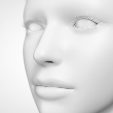 grey female - close up of the nose