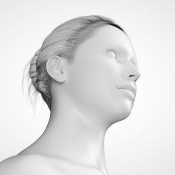 grey female - head