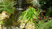 A Man-made Waterfall In Botanic Garden.