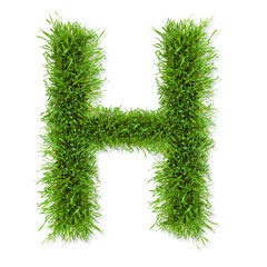 Wall Mural - Grass letter