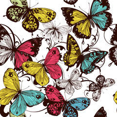 Poster - Vector seamless wallpaper with colorful butterflies