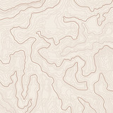 Fototapeta Mapy - Topographic map background