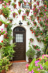  Spring and Easter Flowers Decoration of Old House, Spain, Europe