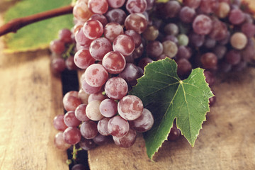 Canvas Print - grapes