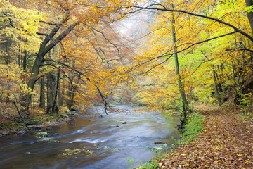 Metuje river in autumn, Czech Republic