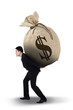 © Creativa Images - Businessman carrying money bag
