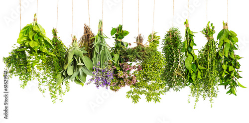 Naklejka na drzwi herbs hanging isolated on white. food ingredients