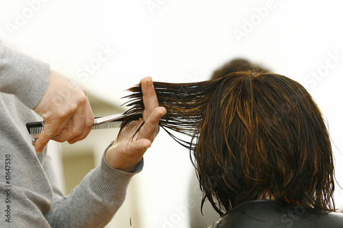 Fotografie, Obraz Professional hairdresser with long hair model