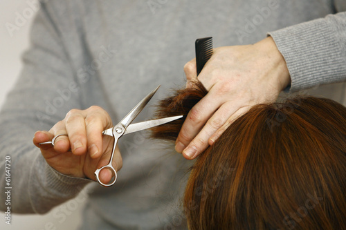Fotografie, Obraz Professional hairdresser with long hair model